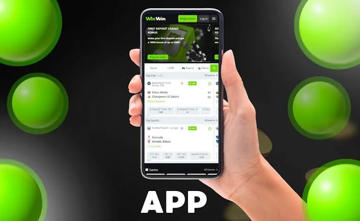 winwinapp.webp